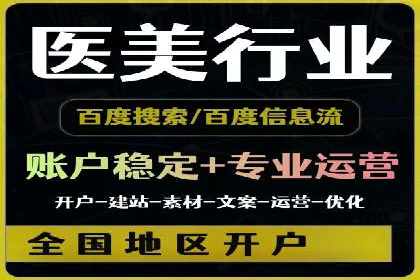 百度推广运营实战：成功案例解析